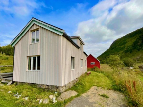 Eagle Panorama Lofoten